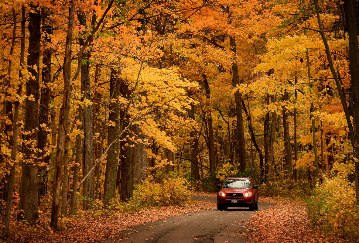 Golden Drive